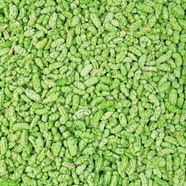 green mint mukhwas 100gms