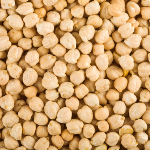 White Chana